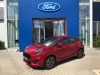 Ford Puma ST-Line X 125k, winter