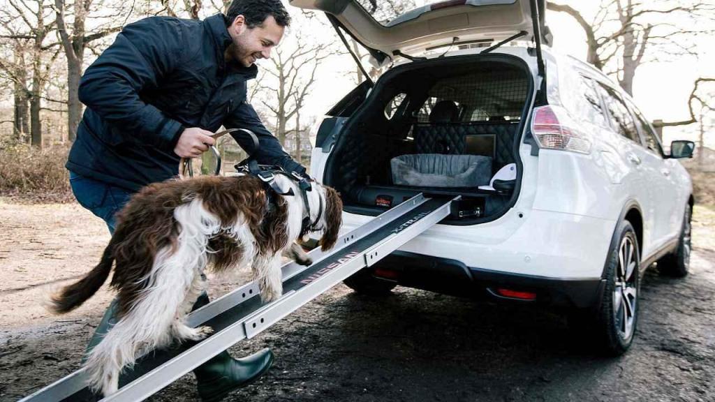 Koncept Nissan X-Trail 4Dogs.