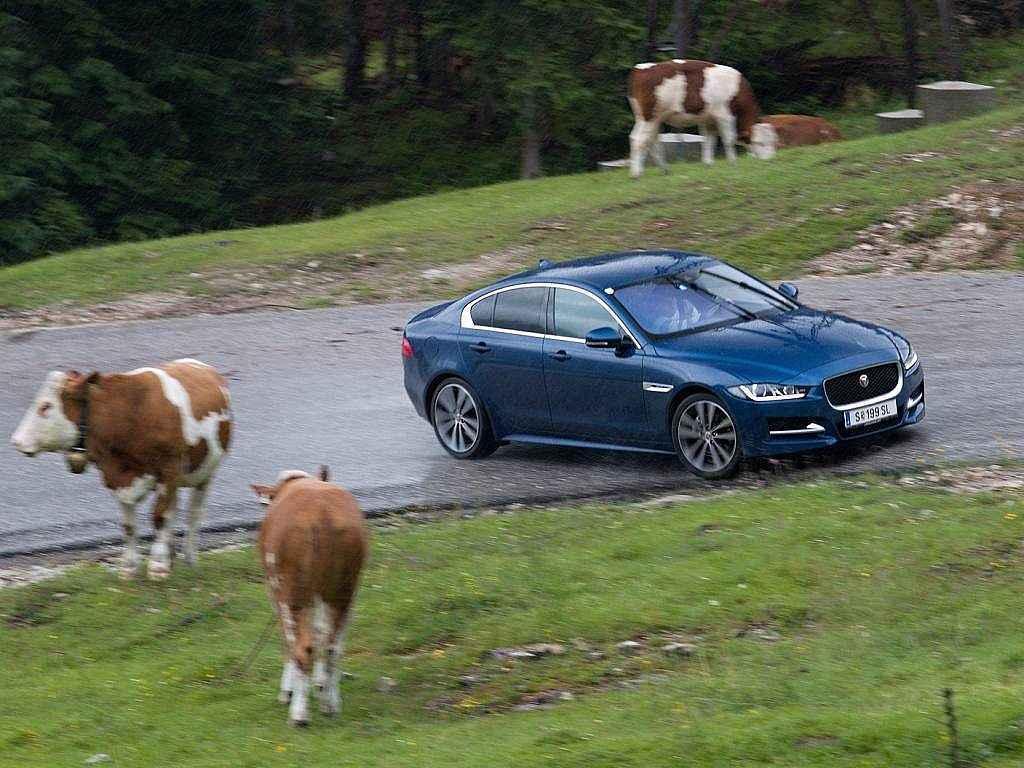 Jaguar XE.