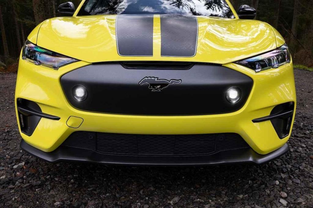 Ford Mustang Mach-E Rally