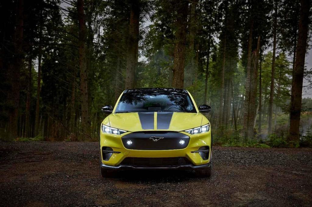 Ford Mustang Mach-E Rally