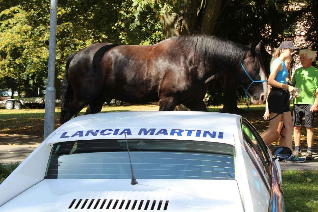 Festival MotorSvět se do areálu Psychiatrické nemocnice v Havlíčkově Brodě vrátil.po dvou letech. Koně tam byly pod kapotou, ale k vidění byli i živí.