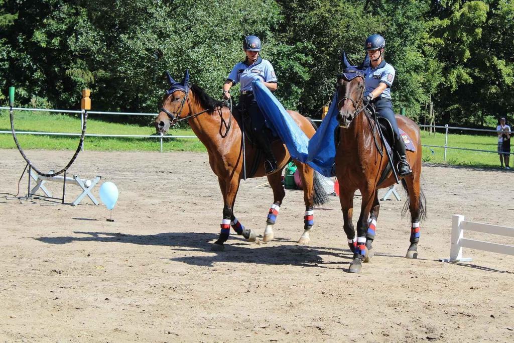 Festival MotorSvět se do areálu Psychiatrické nemocnice v Havlíčkově Brodě vrátil.po dvou letech. Návtěvníci mohli sledovat i policejní koně.