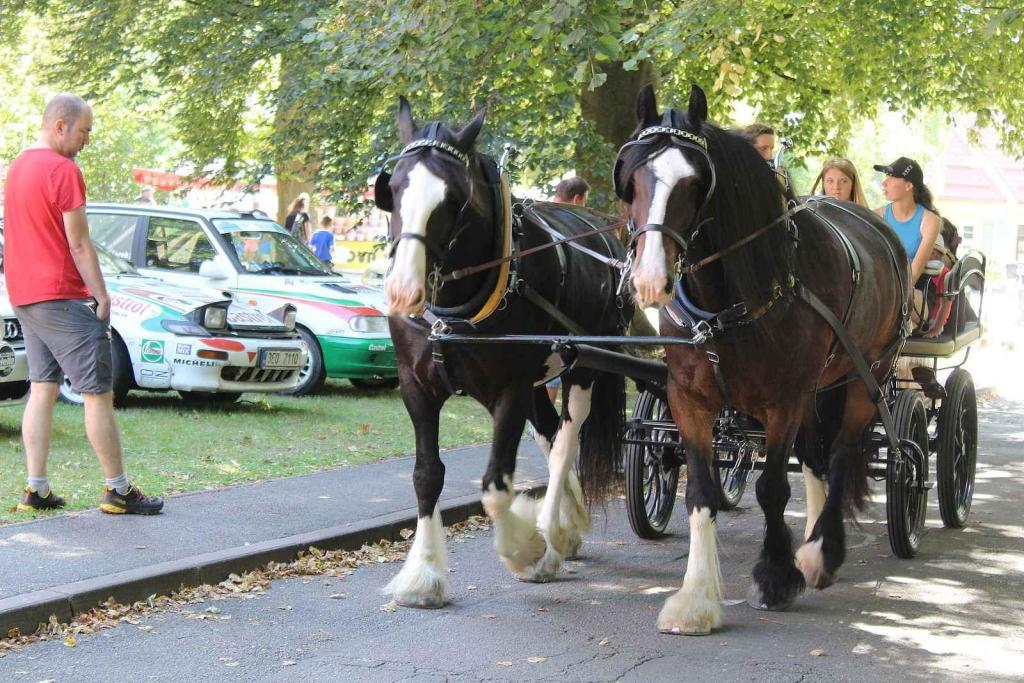 Festival MotorSvět se do areálu Psychiatrické nemocnice v Havlíčkově Brodě vrátil.po dvou letech. Koně tam byly nejen pod kapotou, ale i ti živí.