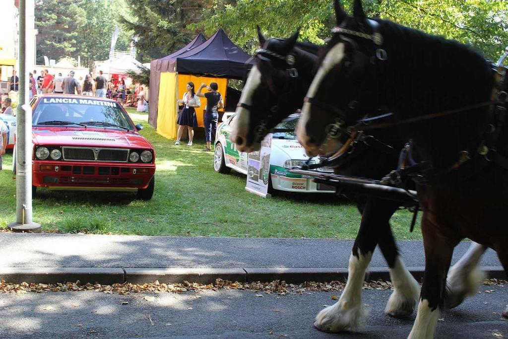 Festival MotorSvět se do areálu Psychiatrické nemocnice v Havlíčkově Brodě vrátil.po dvou letech. Koně tam byly nejen pod kapotou, ale i ti živí.