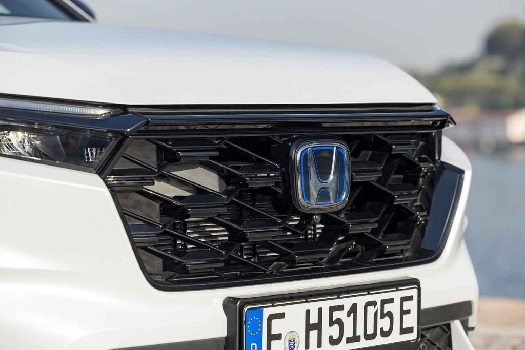 Modře podbarvené logo znamená elektrifikaci