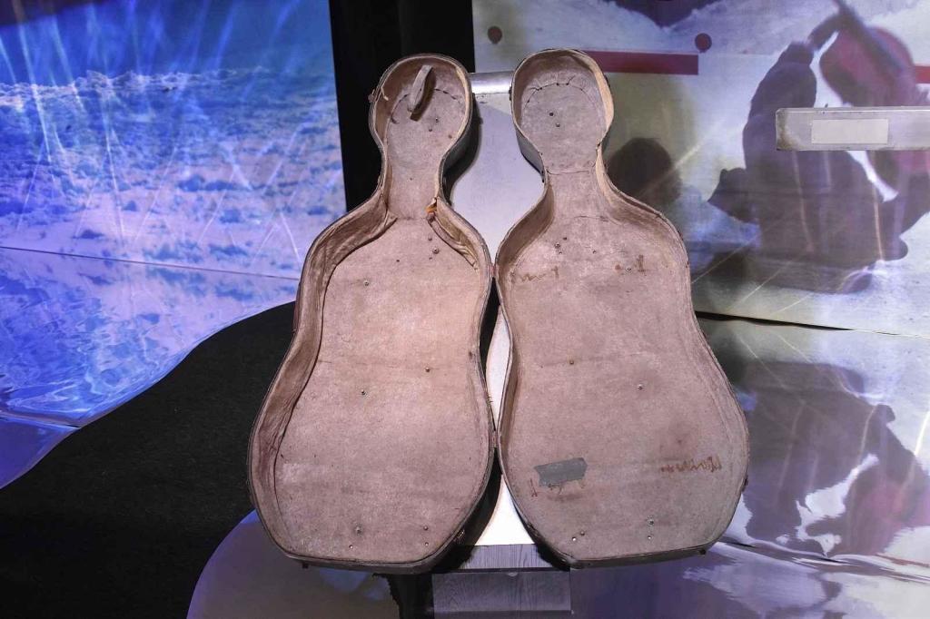 Také sáně vzniklé z pouzdra na violu