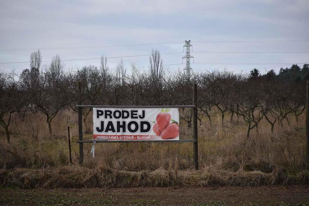 U Lotouše bude z dvouproudé silnice za dva roky dálnice. Úsek je velmi nebezpečný. Každoročně se zde stane několik tragických nehod. Foto: Deník/ Kateřina Nič Husárová