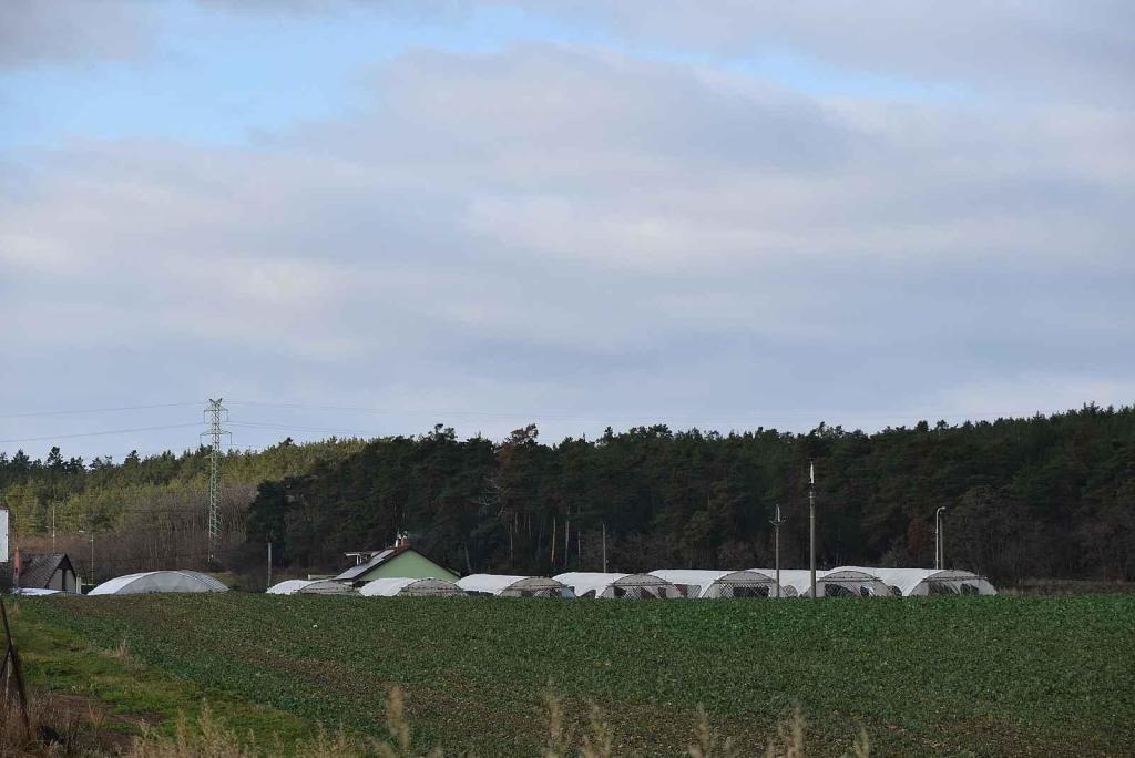 U Lotouše bude z dvouproudé silnice za dva roky dálnice. Úsek je velmi nebezpečný. Každoročně se zde stane několik tragických nehod. Foto: Deník/ Kateřina Nič Husárová