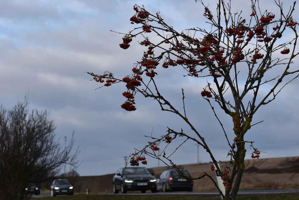 U Lotouše bude z dvouproudé silnice za dva roky dálnice. Úsek je velmi nebezpečný. Každoročně se zde stane několik tragických nehod. Foto: Deník/ Kateřina Nič Husárová