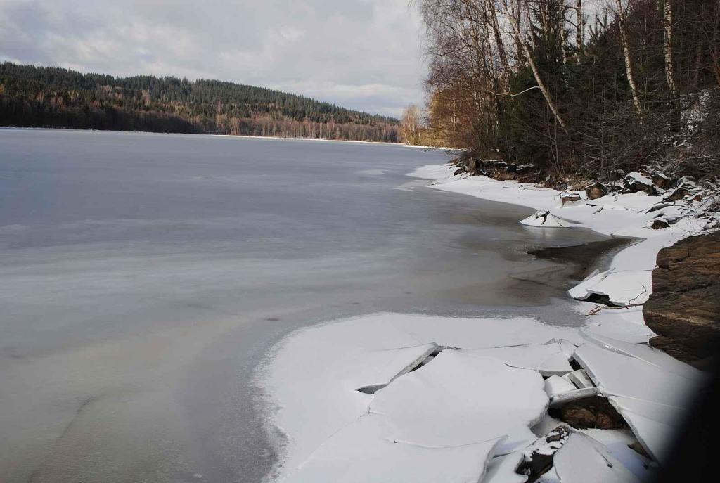 Zamrzlé Lipno u Lipenské víly 19. ledna 2024.