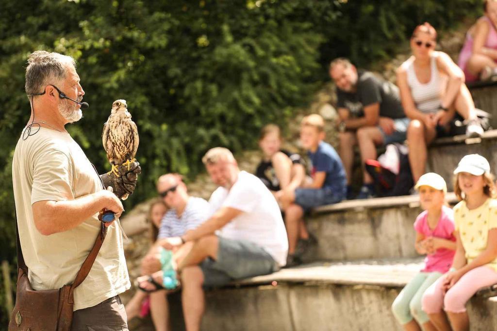 V parku Mirakulum v Milovicích najdete spoustu atrakcí, na nichž se vaši potomci vyřádí celý den.
