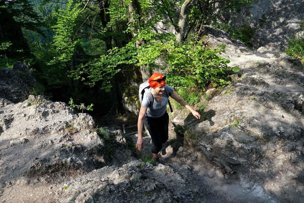 Do Súľovských skal je možné vyrazit z obcí Súľov-Hradná, Hričovské Podhradie, Hluboké nad Váhem, Hrabové a Jablonové.