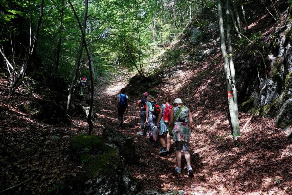 Do Súľovských skal je možné vyrazit z obcí Súľov-Hradná, Hričovské Podhradie, Hluboké nad Váhem, Hrabové a Jablonové.