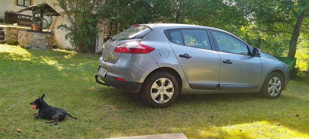 Iva Hejdučková, Praha. Auto je Renault, pejsek s míčkem vedle je tříletý Bobík. Byla jsem s ním a manželem na chalupě ve Skvrňově. Bobíček to tam miluje. Balónek mu házíme a on ho přináší doslova tryskem.