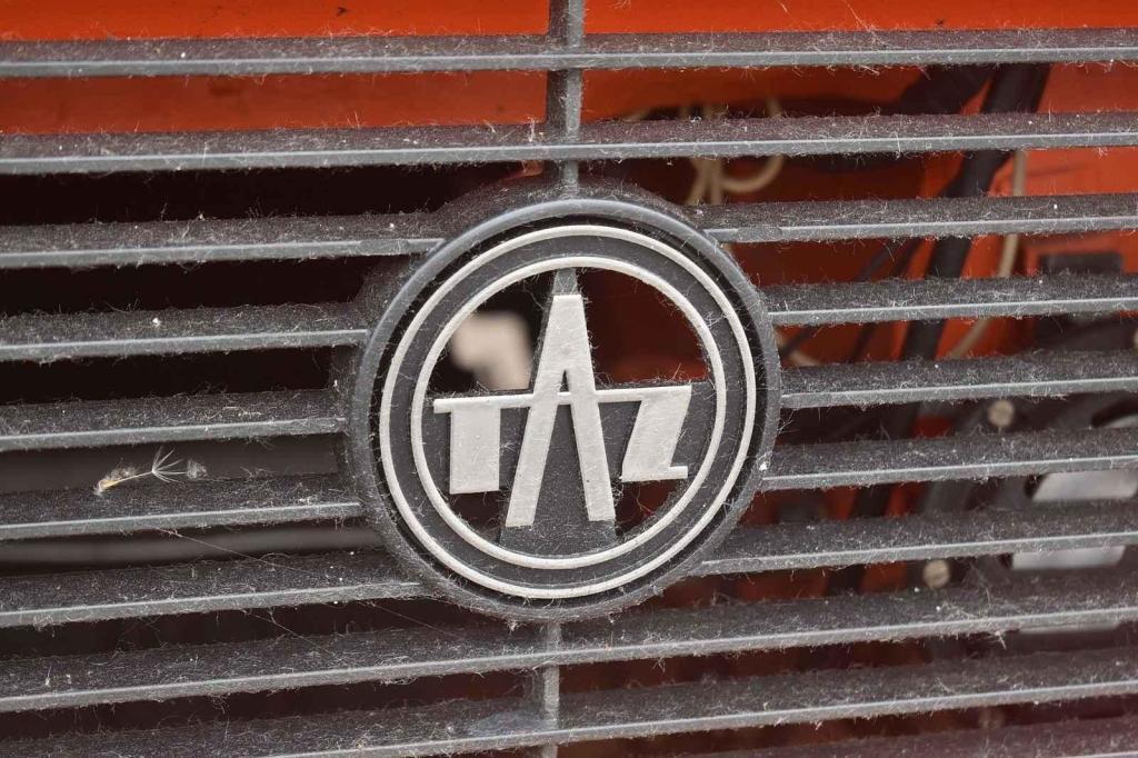 Logo TAZ na masce