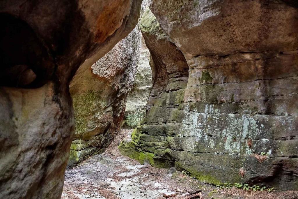 Bludné skály jsou neobvyklé geologické skalní útvary nacházející se těsně u hranic mezi Polskem a Českou republikou.