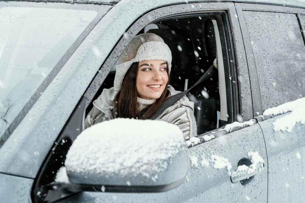 Sníh a mráz nejsou důvodem nechat auto stát. Se zimními komplikacemi si snadno poradíte.