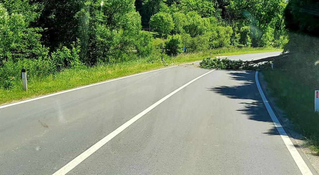 Překážka přes silnici v podobě spadlého stromu při průjezdu Slovinskem mimo dálnici