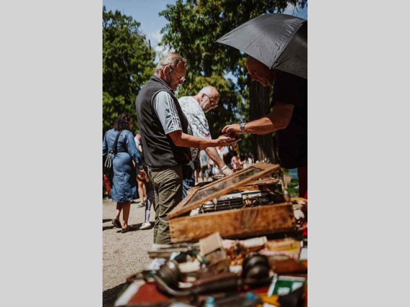 Veteranfest ve slavkovském zámeckém parku