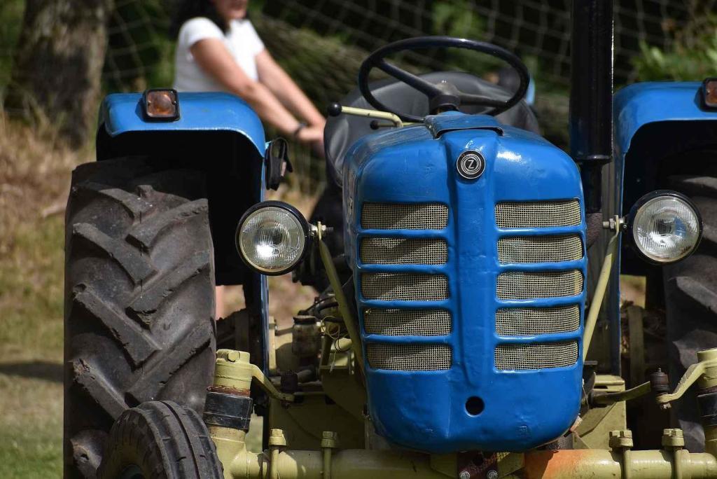 Sraz veteránů a nákladních vozů Tatra přilákal do Heřmánkovic stovky návštěvníků a desítky majitelů historických a nákladních vozů.