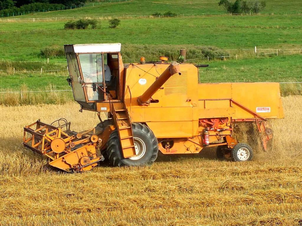 Kombajn Bizon Z-058 při práci na poli.