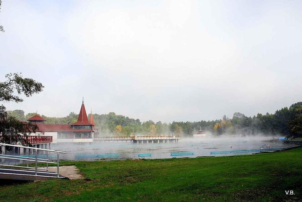 Hevízské jezero nabízí celoroční koupání.