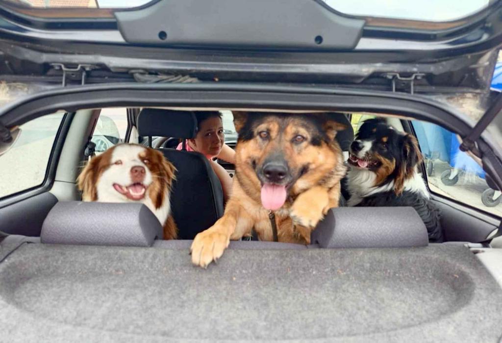 Úvodní foto k článku 'Vy, auto a vaše dovolená. Pošlete nám fotku z cest a vyhrajte atraktivní ceny'