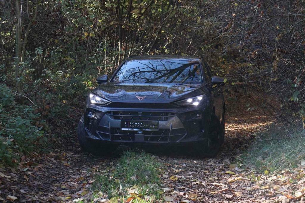 Cupra Terramar 2.0 TSI.