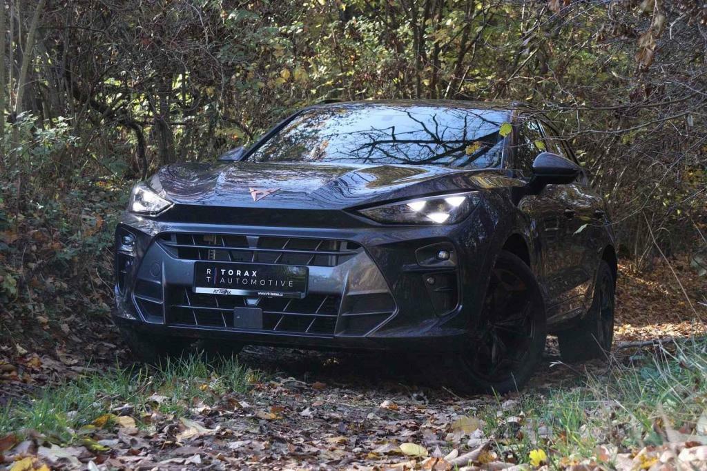 Cupra Terramar 2.0 TSI.