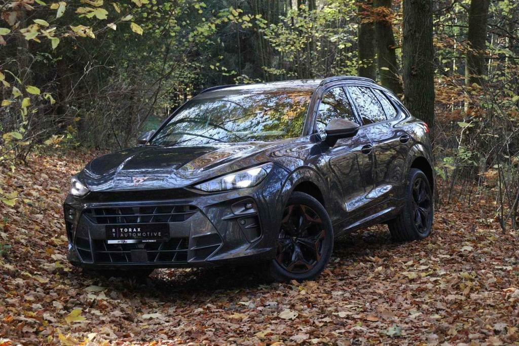 Cupra Terramar 2.0 TSI.