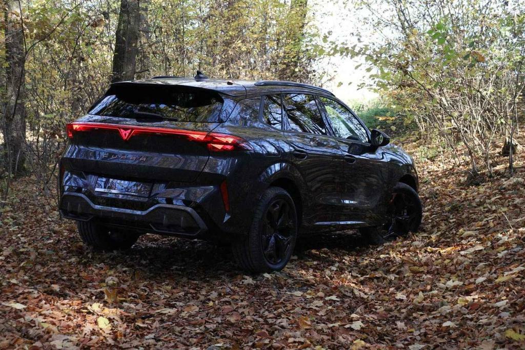 Cupra Terramar 2.0 TSI.