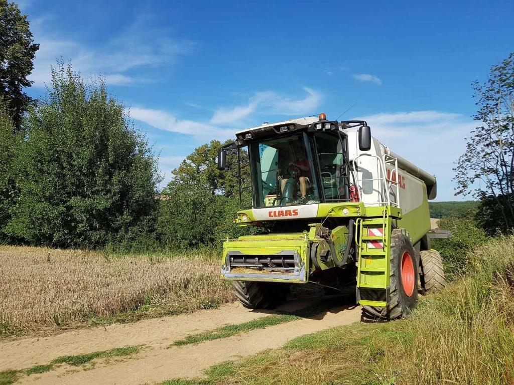 Ale nakonec to Claas vyjel.