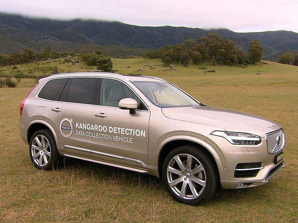 Volvo XC90 pracuje na systému pro detekci klokanů v okolí silnice.