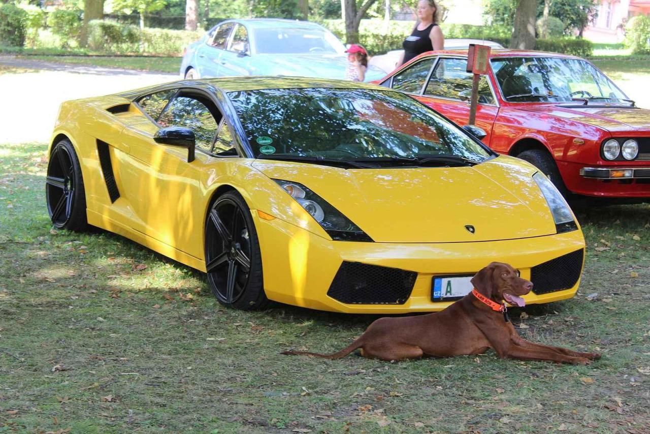 Festival MotorSvět se do areálu Psychiatrické nemocnice v Havlíčkově Brodě vrátil.po dvou letech. Jednou z ozdob bylo Lamborghini Gallardo.