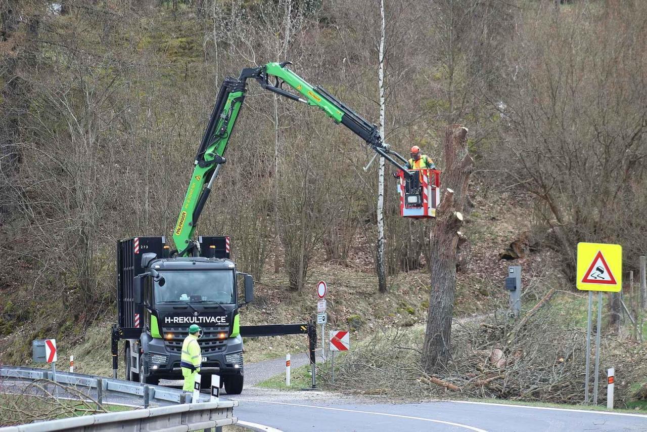 Na serpentinách nyní silničáři kácejí stromy.
