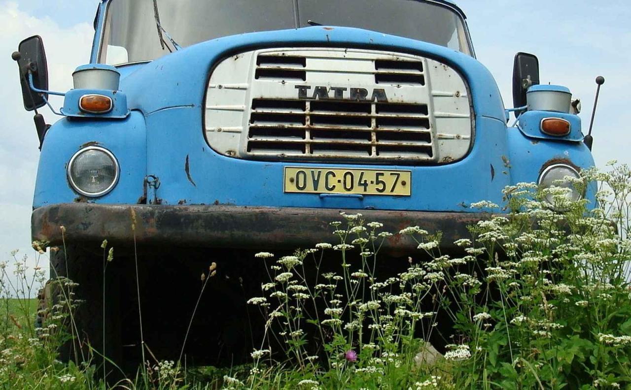 V dnešním zábavném motoristickém kvízu po vás chceme, abyste určili nákladní auta z našich silnic podle přední masky.