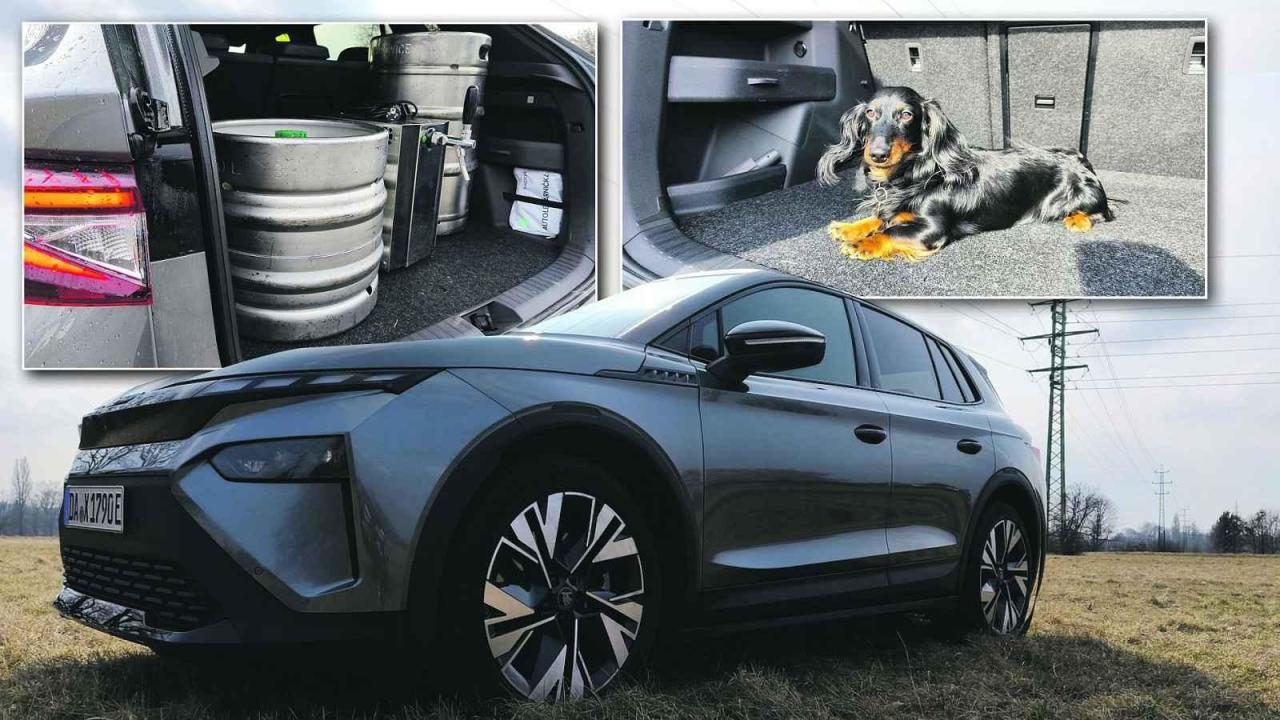 Škoda Elroq v našem testu vezla psí štěně i sudy piva.