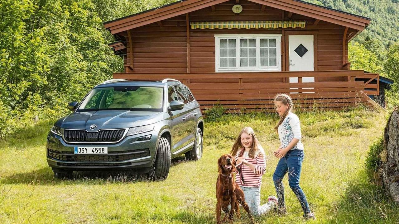 Mezi kvalitní auta pronikly i některé modely vyráběné továrnou Škoda ve východočeských Kvasinách.