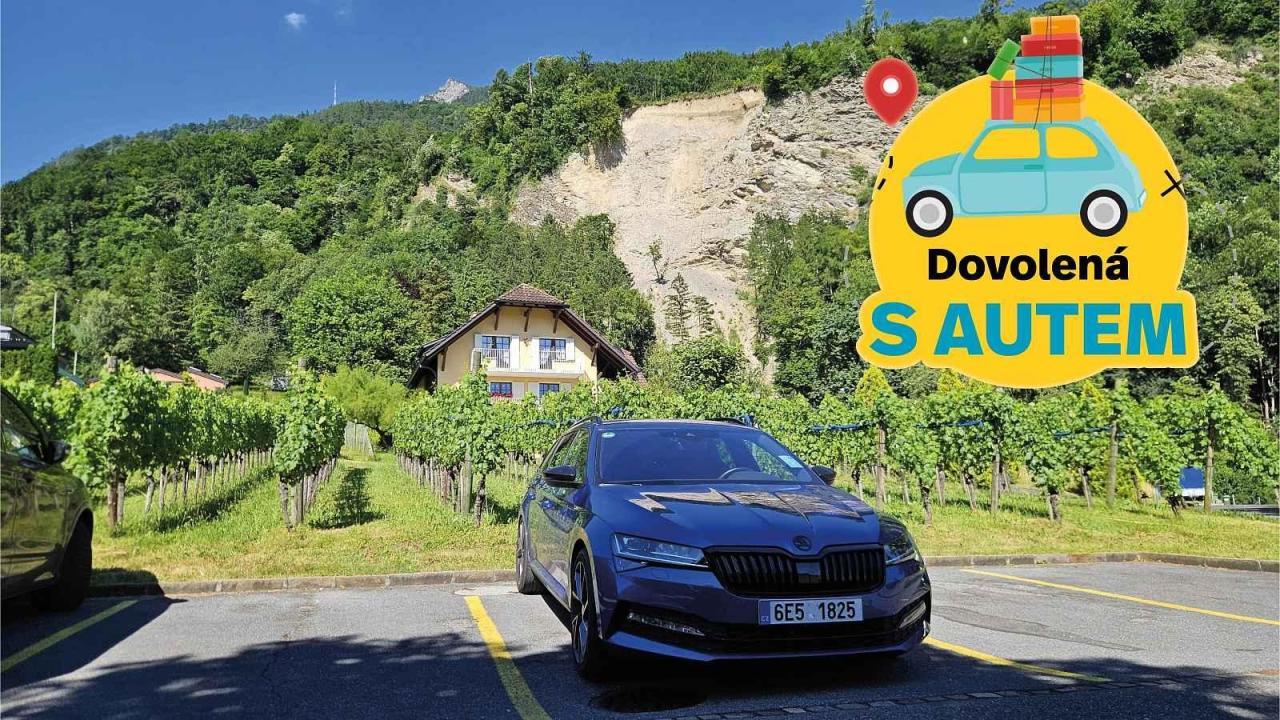 Cestou do Francie jsme se zastavili v hlavním městě Lichtenštejnska - Vaduz. Zde jsme pořídili snímek u místní vinice.