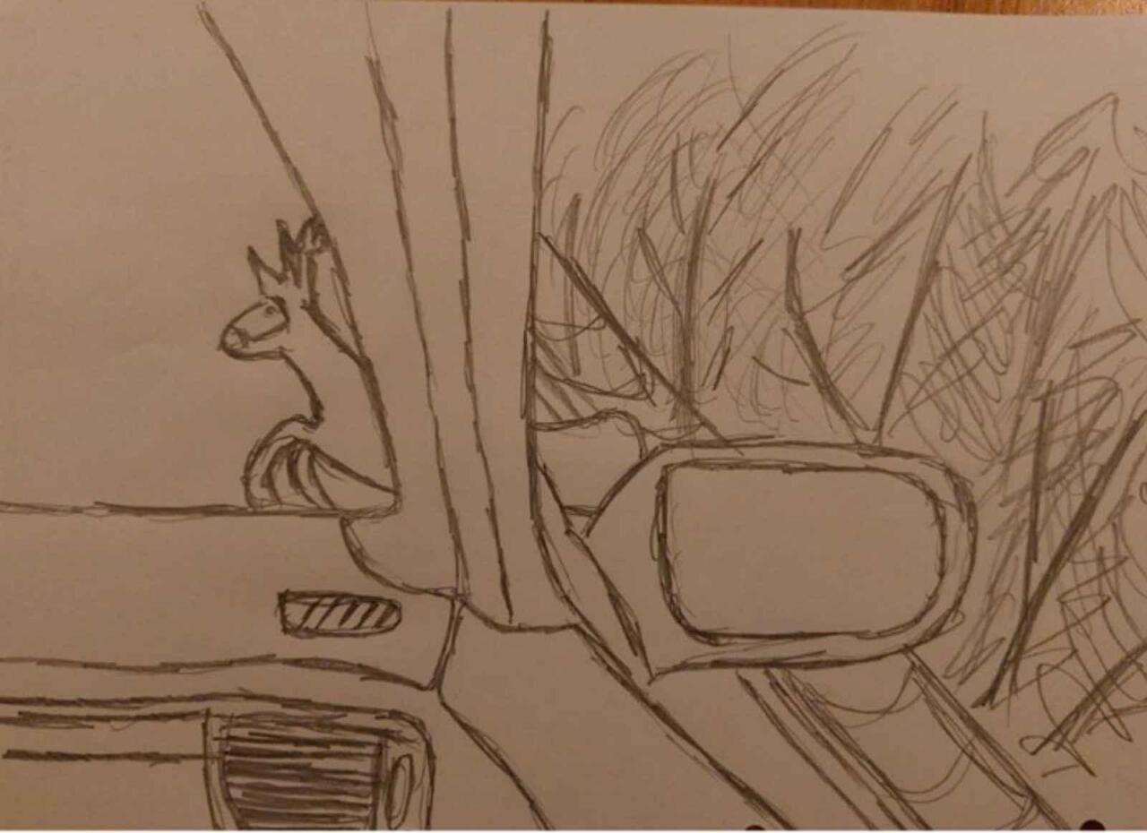 Fotka článku - Když auto bourá samo. Výběr nejlepších pojišťovacích historek z roku 2025