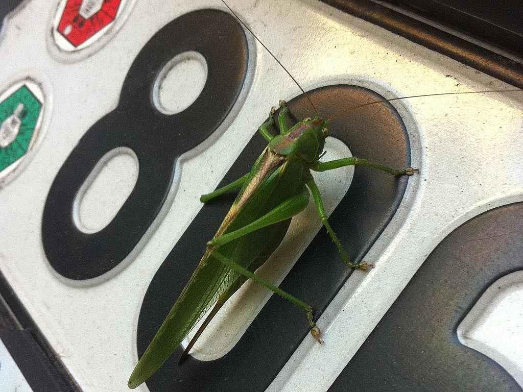 Fotka článku - Ghost plates: Značky, které radar nevidí. Britský podvod u nás vyjde velmi draho