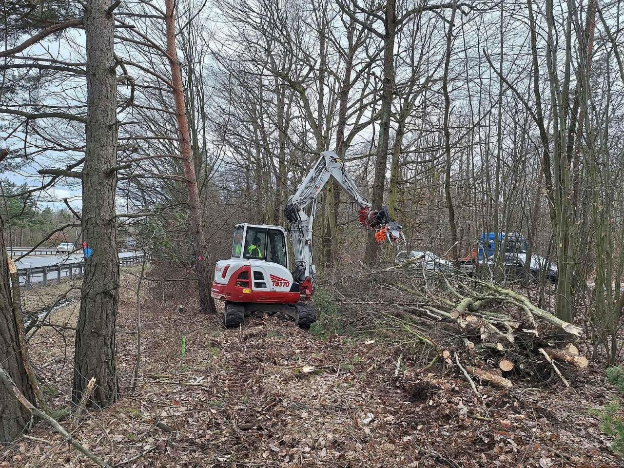 Fotka článku - D4 dostane ochranný štít: téměř 27 km oplocení má zabránit střetům se zvěří