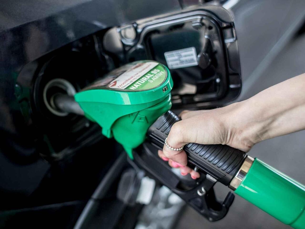 Fotka článku - Plánujete cestu k moři? Zmapovali jsme rozdíly v ceně paliv na trase na Jadran