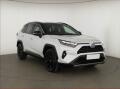 Toyota RAV4 2.5 Hybrid, Selection