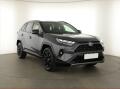 Toyota RAV4 2.5 Hybrid, Selection
