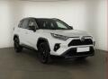 Toyota RAV4 2.5 Hybrid, Selection