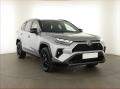 Toyota RAV4 2.5 Hybrid, Selection