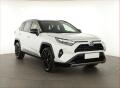 Toyota RAV4 2.5 Hybrid, Panorama