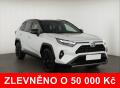 Toyota RAV4 2.5 Hybrid, Panorama